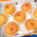 대황농장 이미지