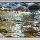 느티공원 이미지