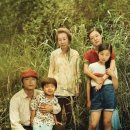 영화-미나리 이미지