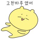 4대조선막걸리