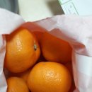 여주 태평양 약국 이미지