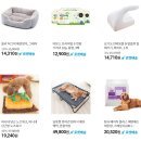 리치펫동물병원 이미지