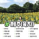 충북상사 이미지