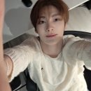 피그말리온 네이버블로그