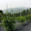고리봉농장 이미지