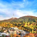 해외 안 부러워! 국내에서 이런 뷰가? 요즘 핫한 전망 스폿 4곳 이미지