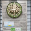 씨씨존 이미지