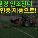 애견카페 인공잔디, 설치하고 후회하지 않으려면?