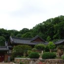 송광사 이미지