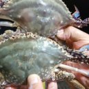 삼봉콘도민박 이미지