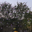 곡성-032 이미지