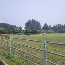 거림목장 이미지