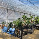 솔향수목원(전시온실) 이미지