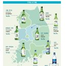 오크린 | 선양오크(Oak) 소주 내돈내산 솔직 후기