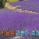 금종목장 티스토리