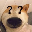 크흠... 큼! 재~공연... 재~~공연... _ 위버스콘 후기