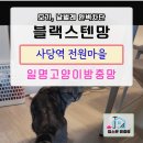 고양이방충망 [블랙스텐방충망] 서울 동작구 방충망 교체