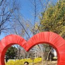 개나리공원 농구장 이미지