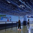 태권도&점프윙스 줄넘기 이미지