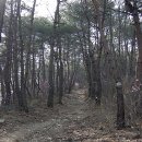 영천 치일리 인종태실 이미지