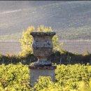 와인조형물 이미지