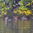 김포 장릉 이미지