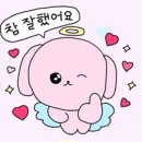 경주(부산) 이미지