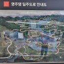 2023년 10월11일 경북 영주 영주댐 둘레길(풍기인삼 축제)정기산행 이미지