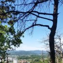 구룡고개들 이미지