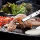 울산 근교 캠핑 추천! 대운산 하늘숲 야영장 캠핑후기 /예약방법·요금·시설 한눈에 보기
