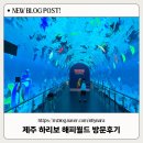 보따리월드 | 제주도 아이들과 실내 가볼만한곳 [ 하리보 해피월드 ] 방문후기
