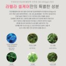 먹세포차 이미지