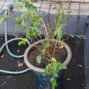 굿모닝LPG충전소 이미지