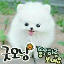 누 이미지
