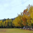 강진대구중학교 이미지