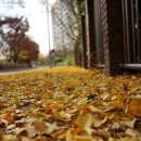 삼호교회 이미지