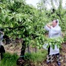 구룡농장 이미지