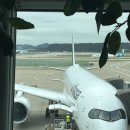 713 | 독일 루프트한자 프랑크푸르트 LH713 비상구열 탑승후기 기내식