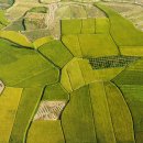 이나 태양광발전소 이미지