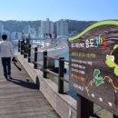 구름산책로 이미지