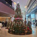 모노트리 | THE MAP: BEYOND THE HORIZON-온앤오프콘서트 (feat.두쫀쿠)