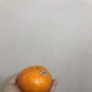 레드향PC방 이미지