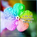 서지원의 내 눈물 모아ㅡㅡ노래ㅡ강민경 이미지