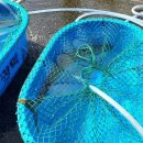 정치망민박 이미지