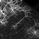 혁신3로R 이미지