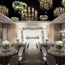 더블유 페스타 이미지