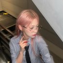 백지헌 카카오 검색결과