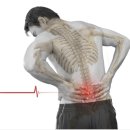 그린공간운동센터 이미지