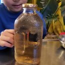 노형농원 이미지