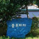 블루비치민박 이미지